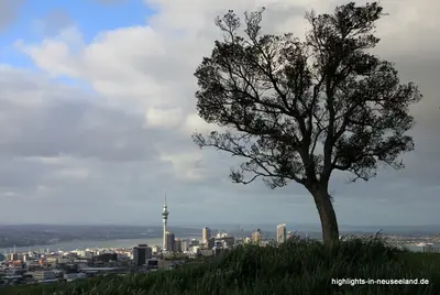Auckland